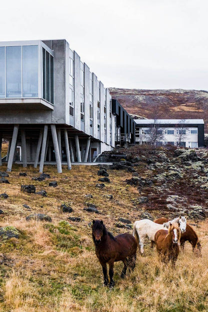 Designed to Stay: The Design Hotels Book GESTALTEN & TENEUES